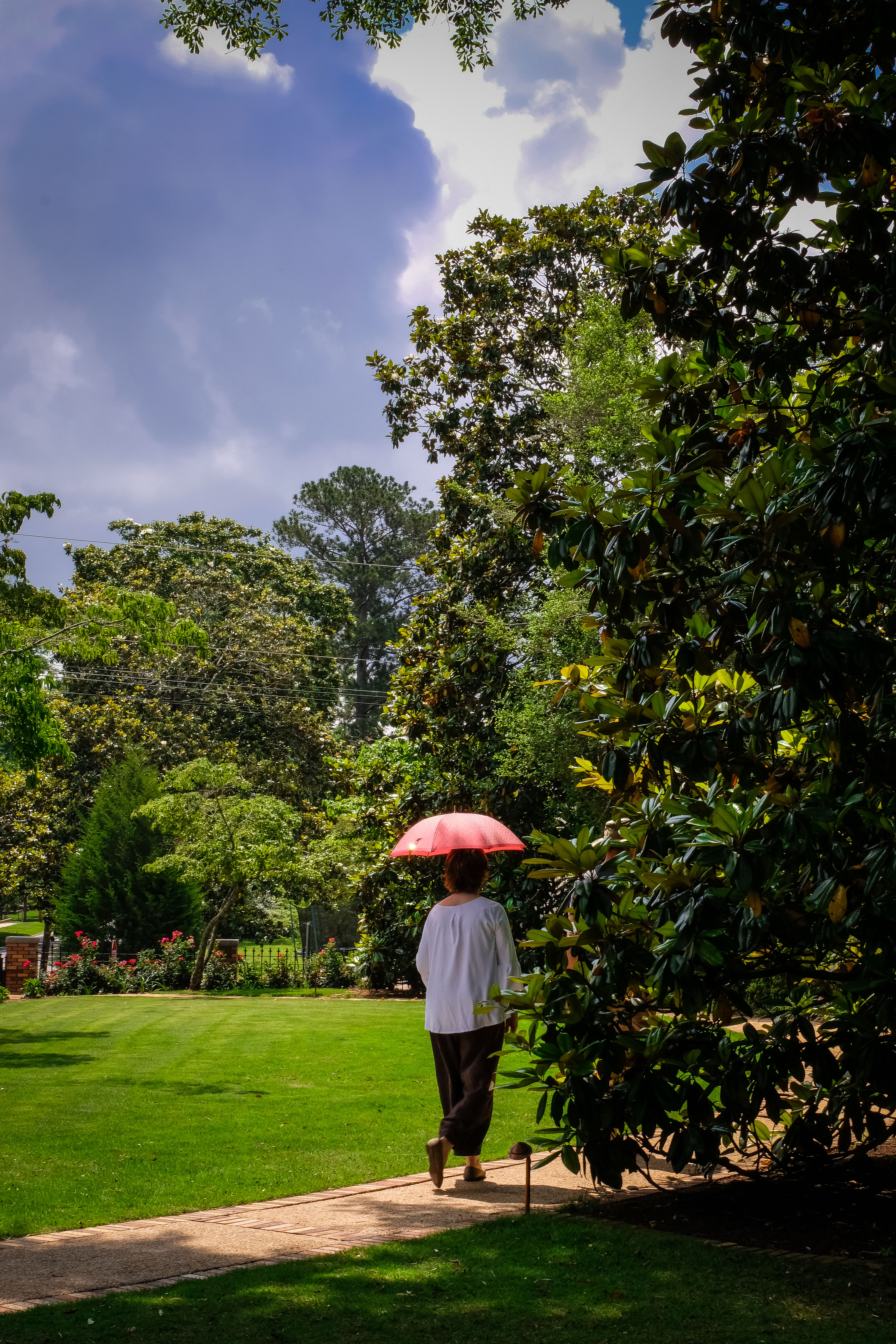 Garden Tour presented by Lee County Master Gardeners