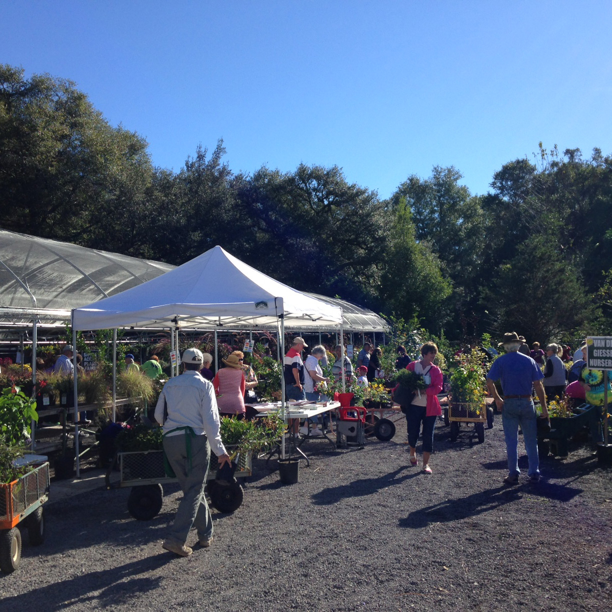 Fall Plant Sale