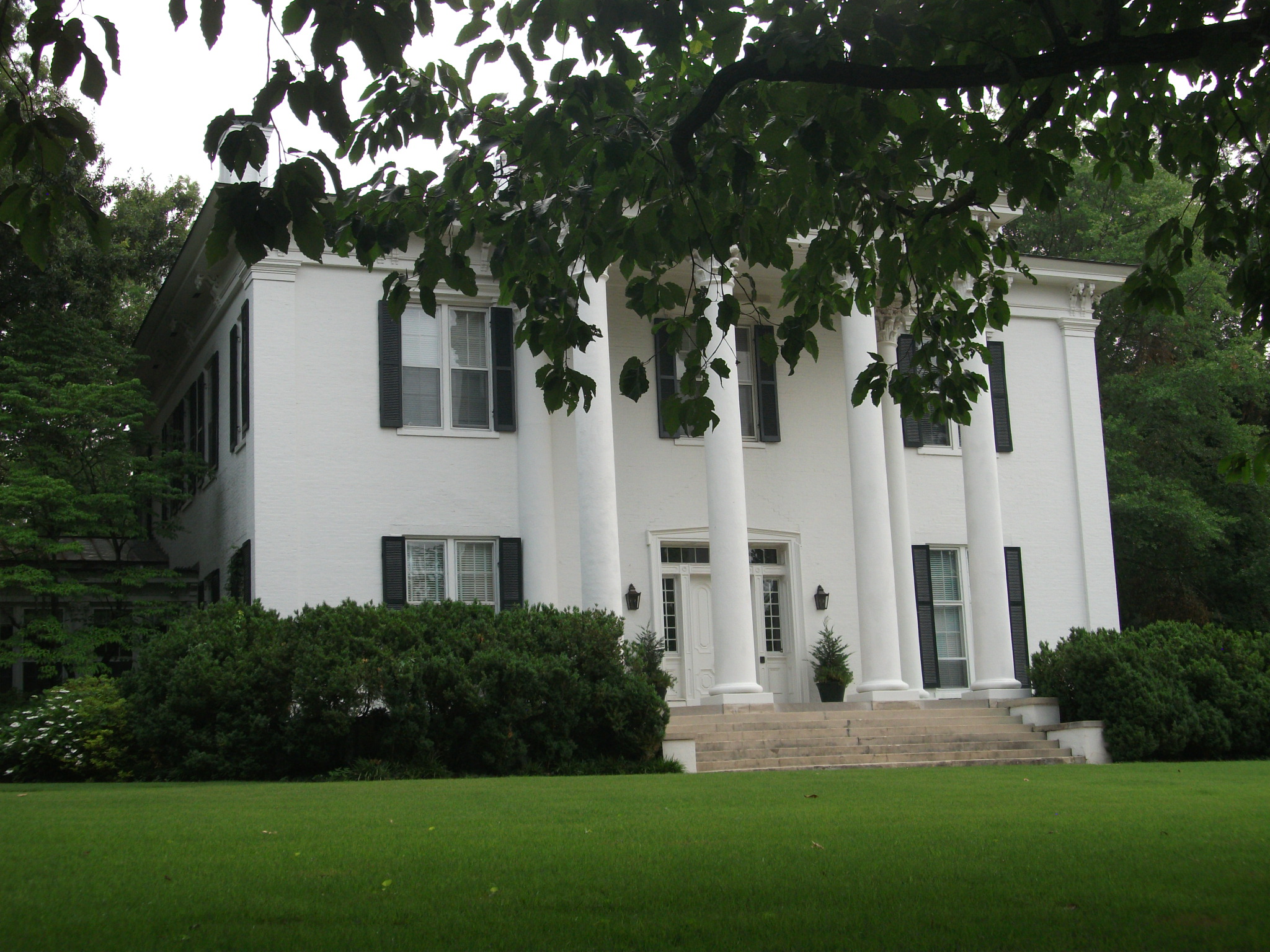 Guided Walking Tour of Twickenham historic district
