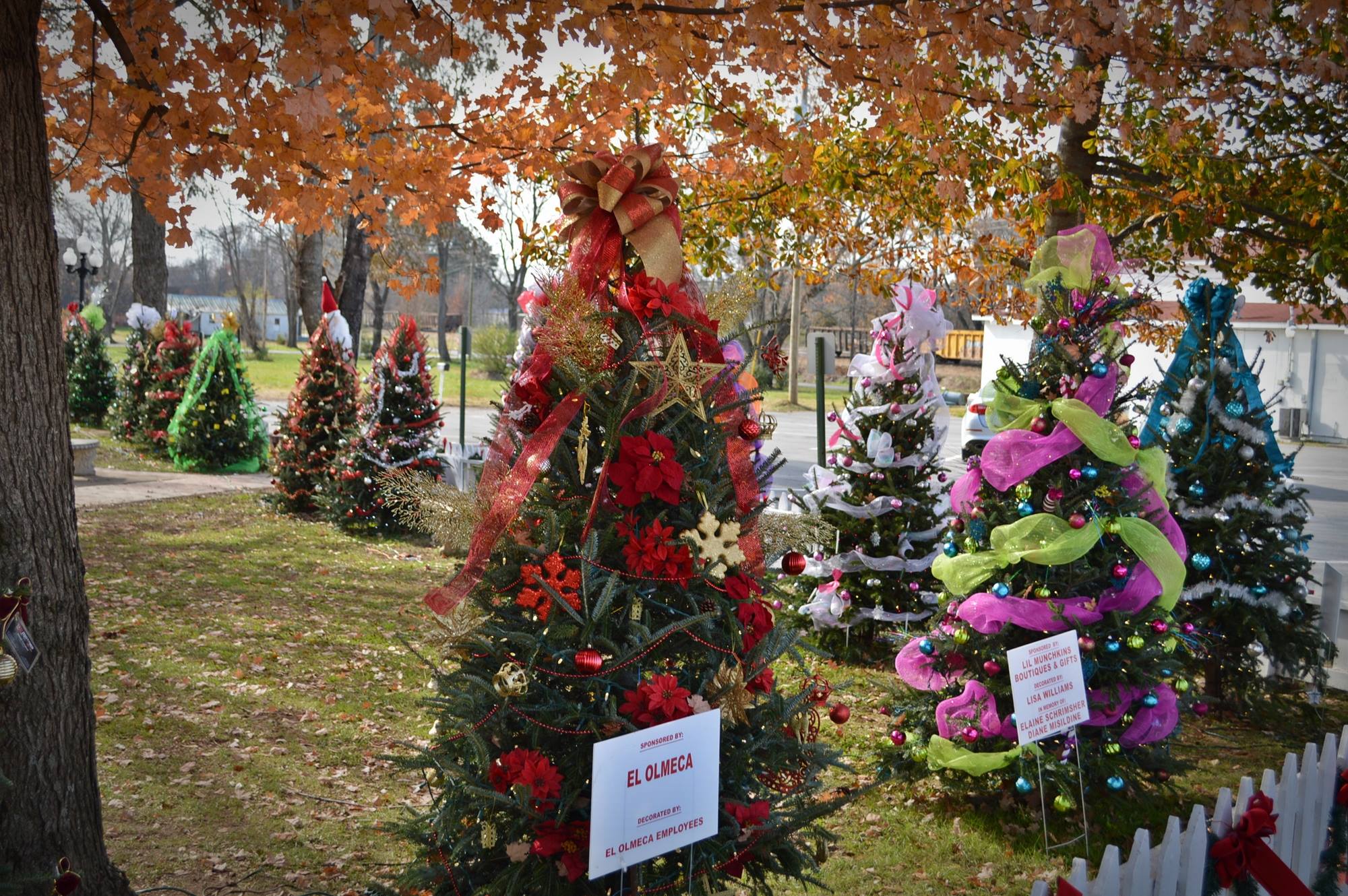Ardmore Tinsel Trail