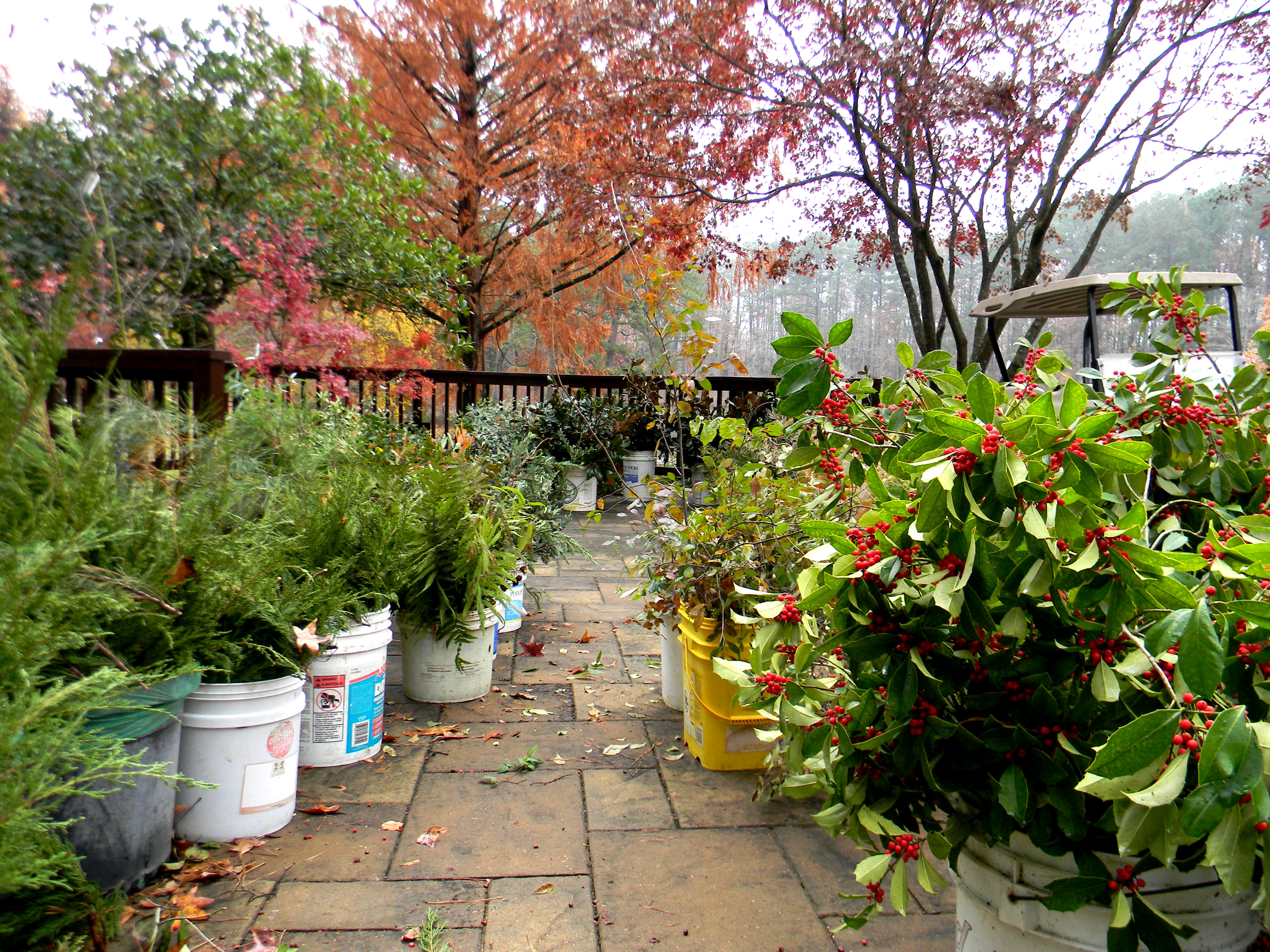 Greenery Sale - Birmingham - Alabama.Travel