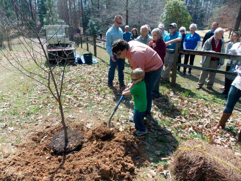Arbor Day