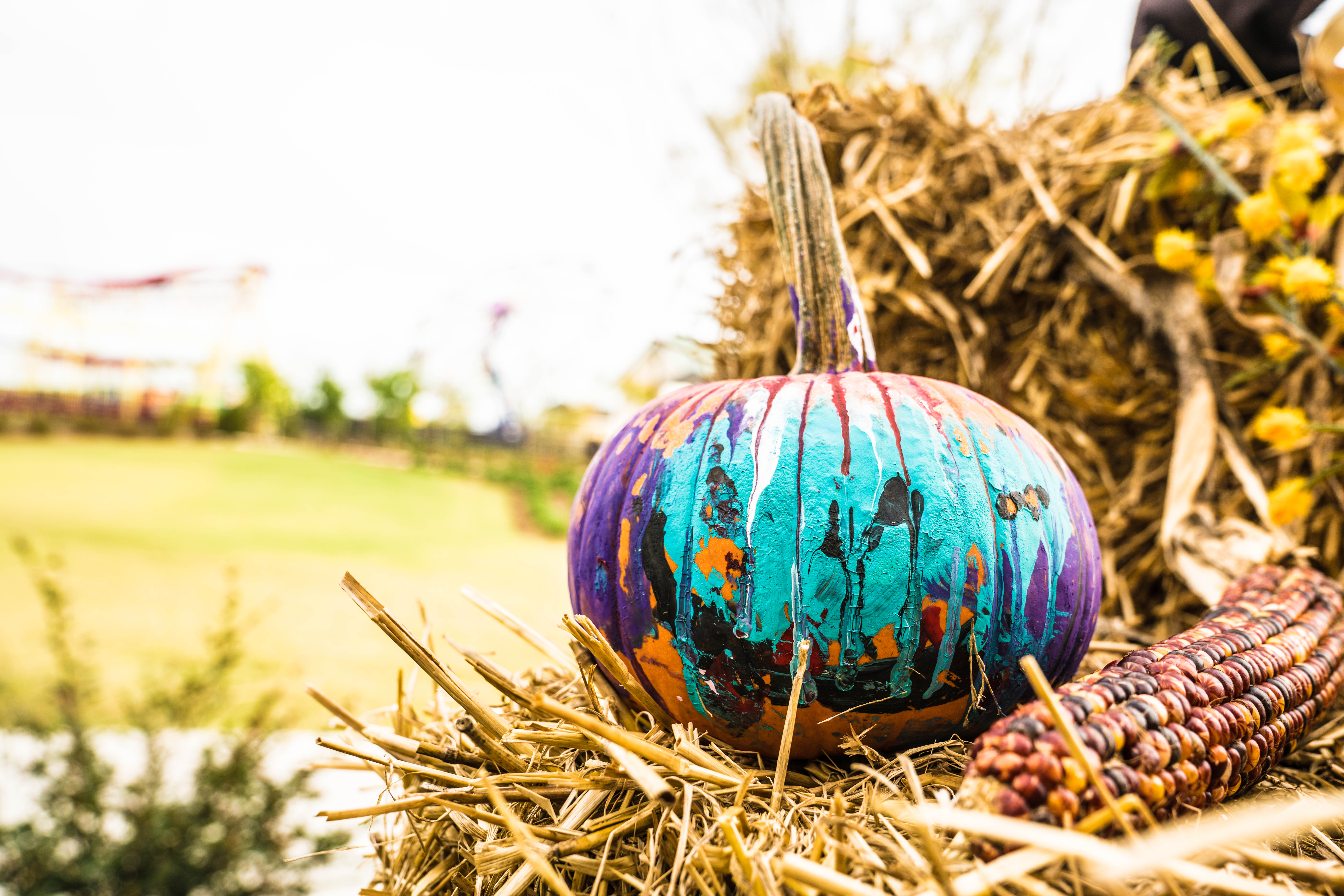 Fall Festival