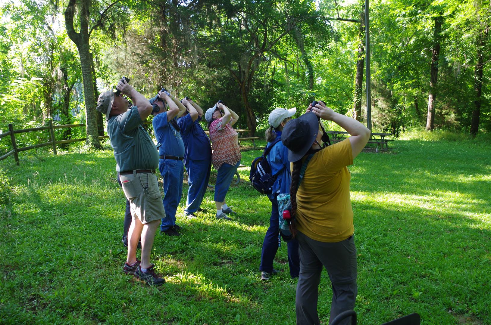 Bird Walk for Beginners (& History Buffs)