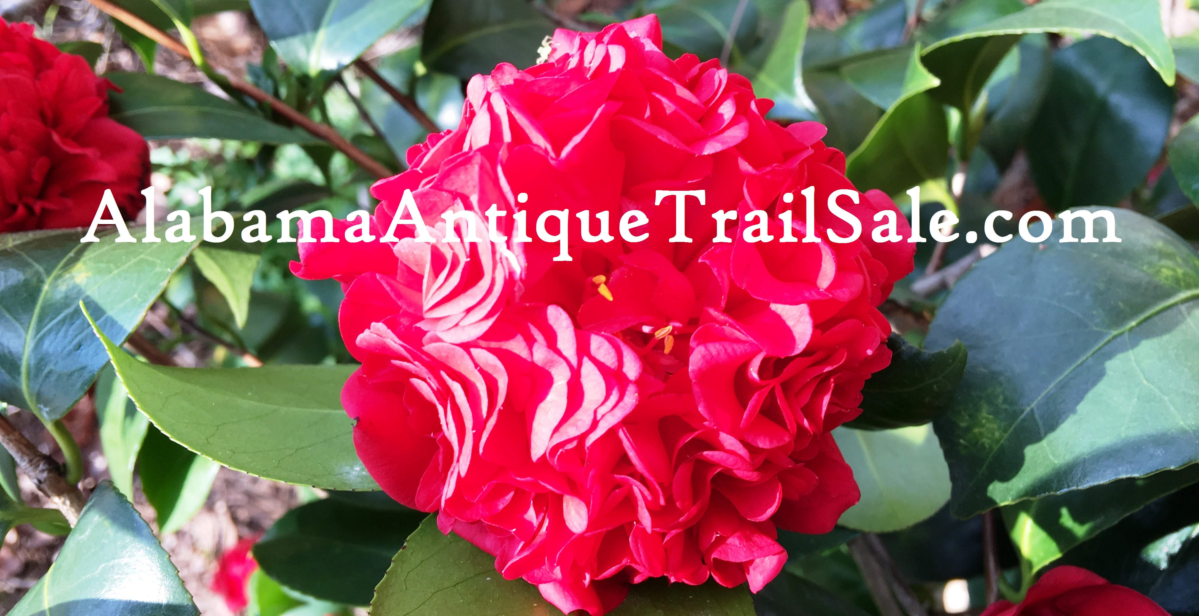 Alabama Antique Trail Sale