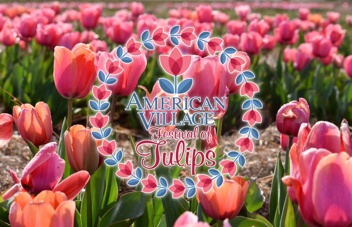 Festival of Tulips Montevallo Alabama.Travel