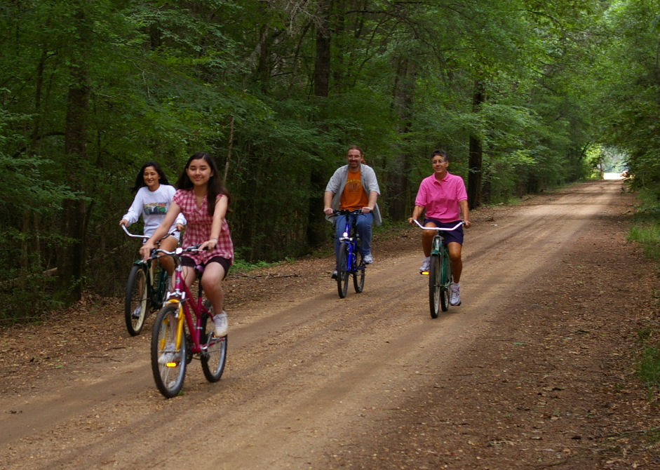 B.Y.O (Bring Your Own) Bike Tour