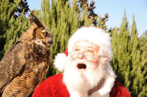 Alabama Wildlife Center's Holiday Craft and Bake Sale