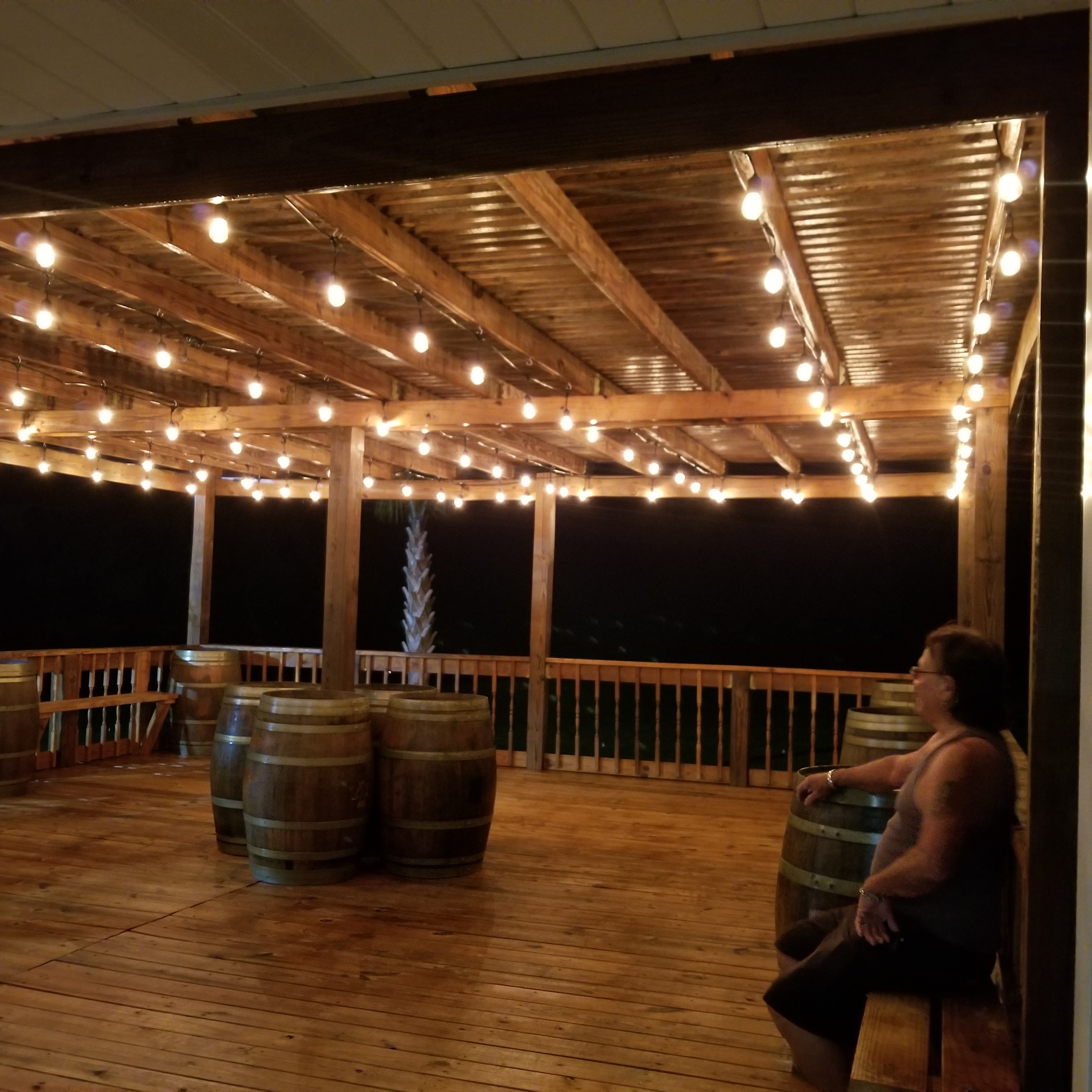 Lake Point Vineyard and Winery Fitzpatrick Alabama.Travel