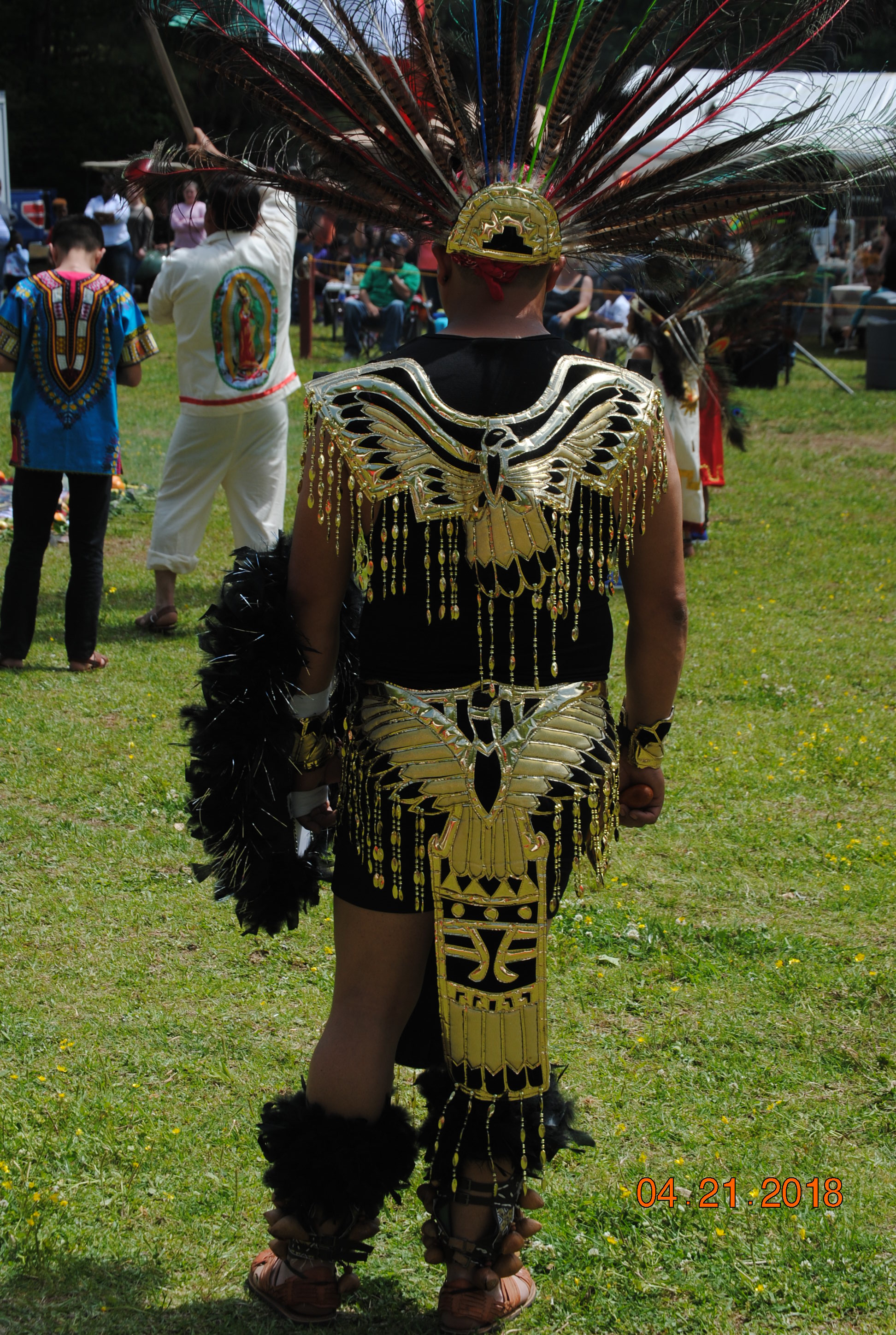 Seventh Annual Blind Horse Benefit Pow Wow