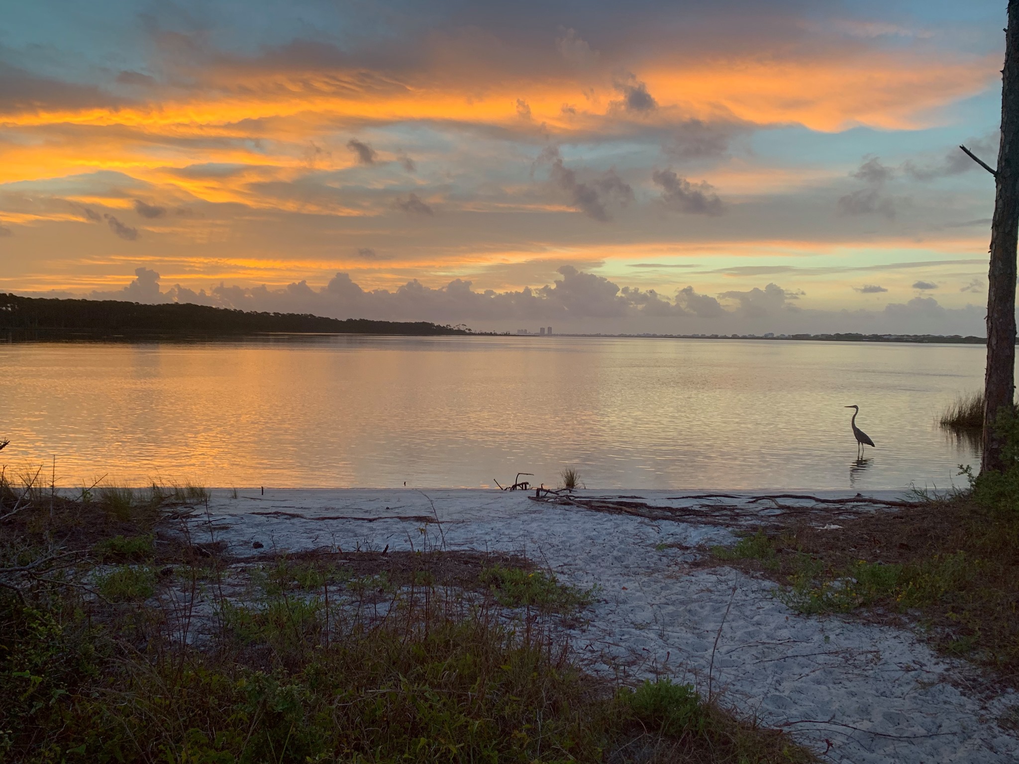 Bon Secour National Wildlife Refuge - Gulf Shores