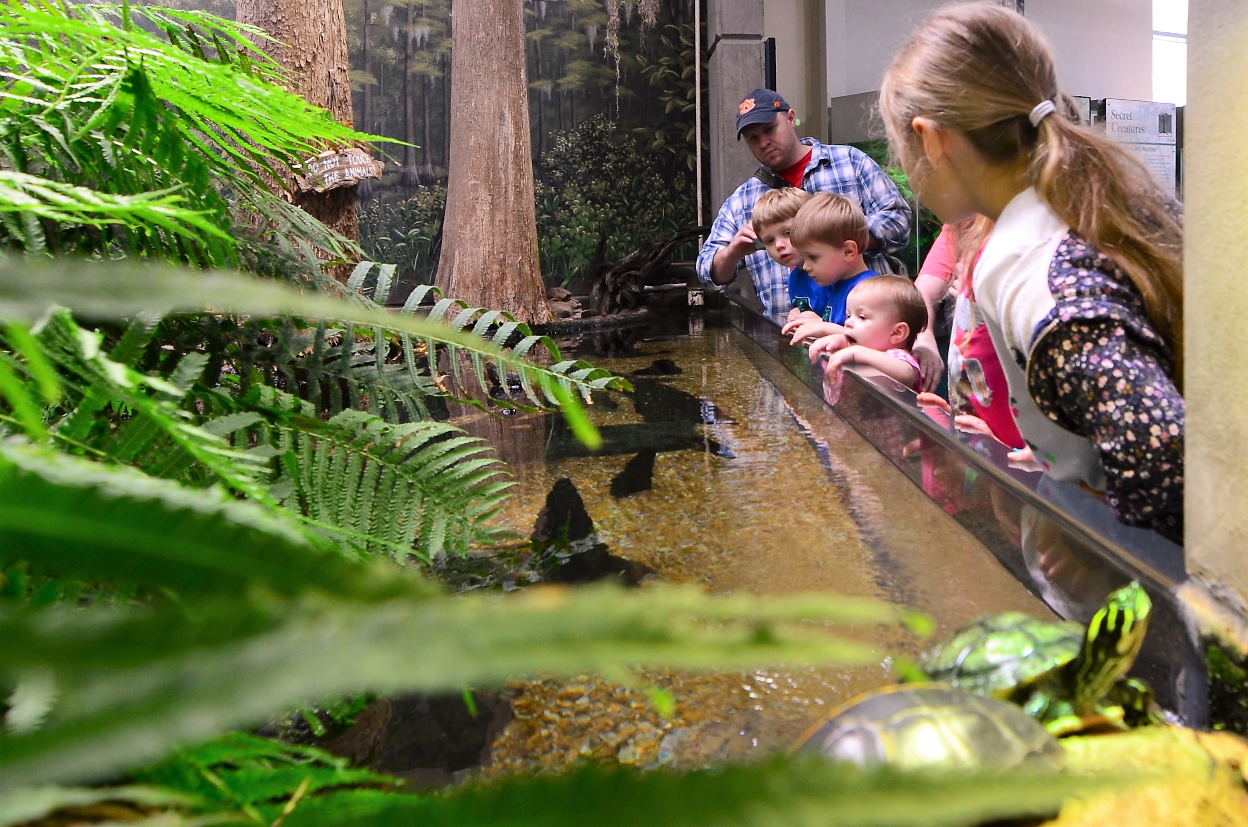 https://alabama-travel.s3.amazonaws.com/partners-uploads/photo/image/60d242762dfb590008d49ca6/DSC_0834b.jpg