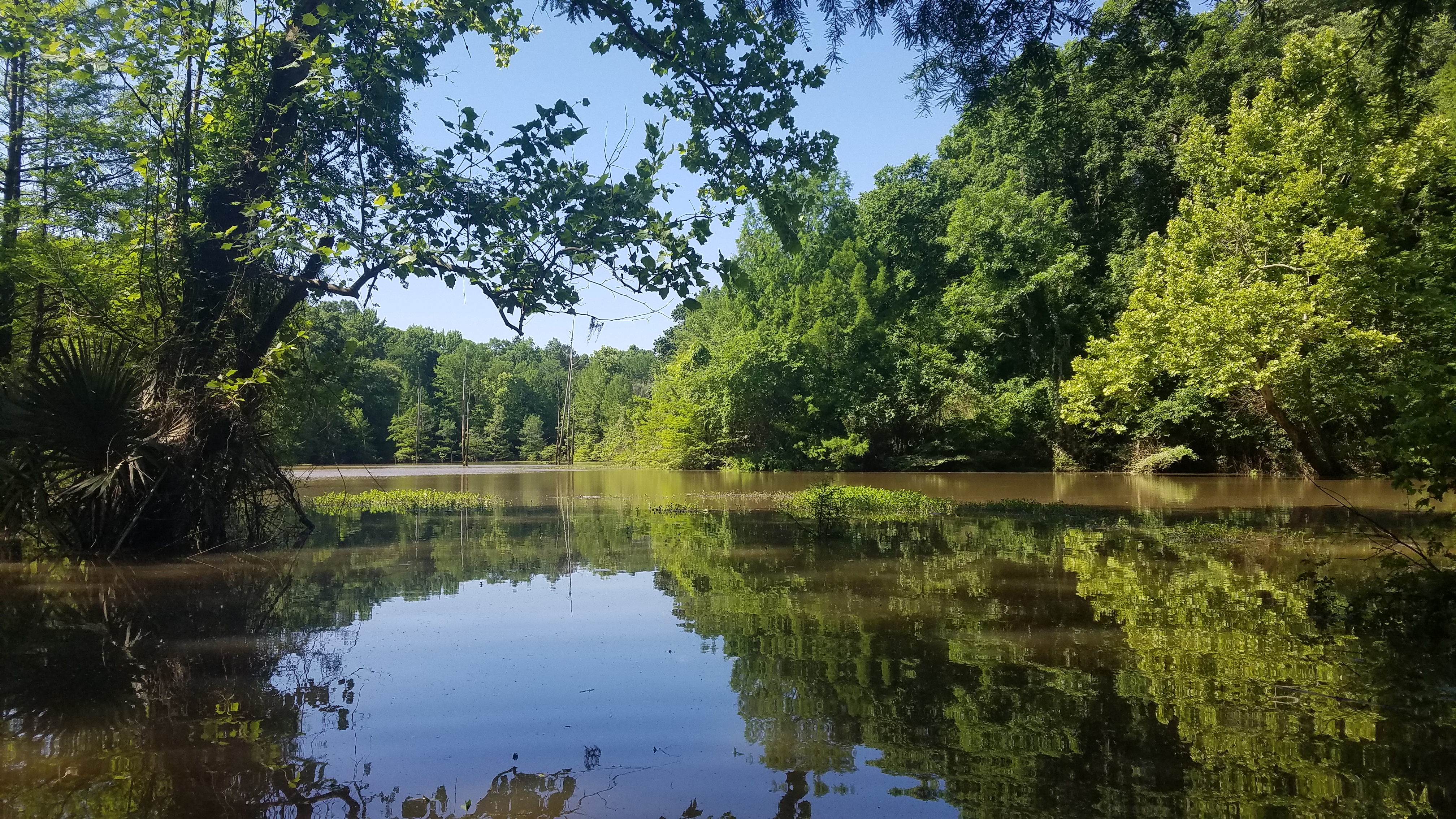 Historic Nature Walk at Old Cahawba