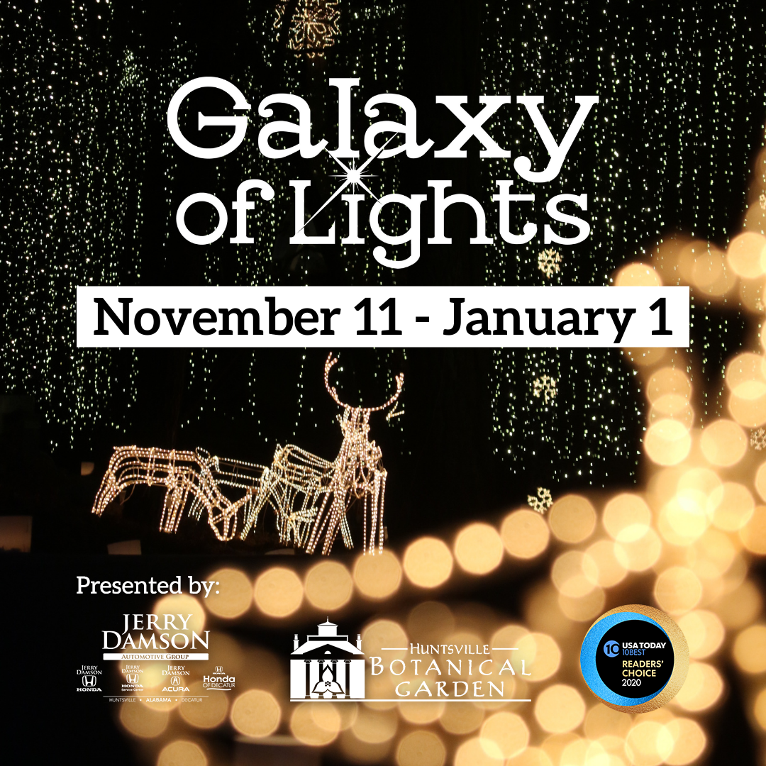 Galaxy of Lights