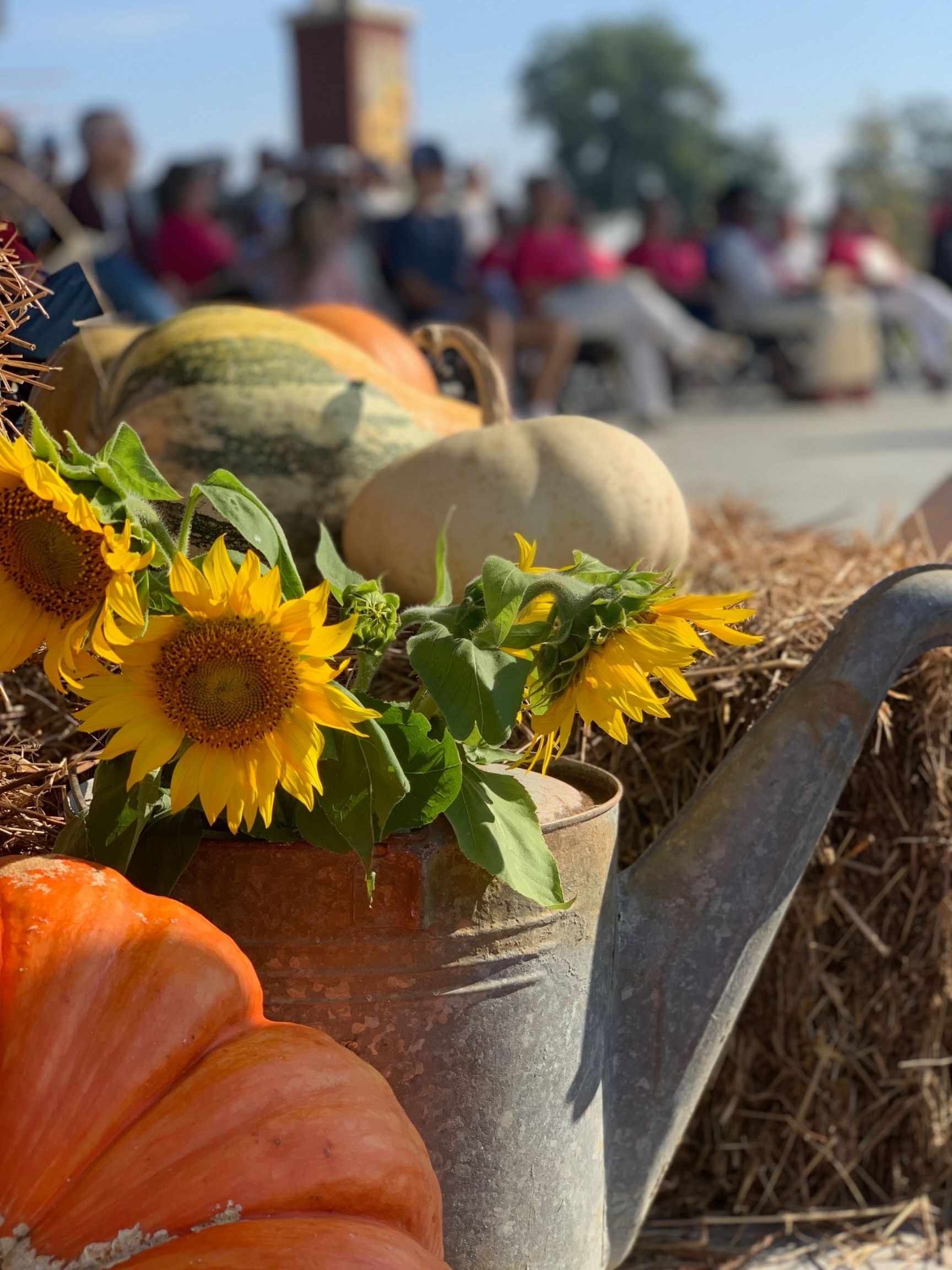 59th Annual October Boaz Harvest Festival (Downtown Boaz)