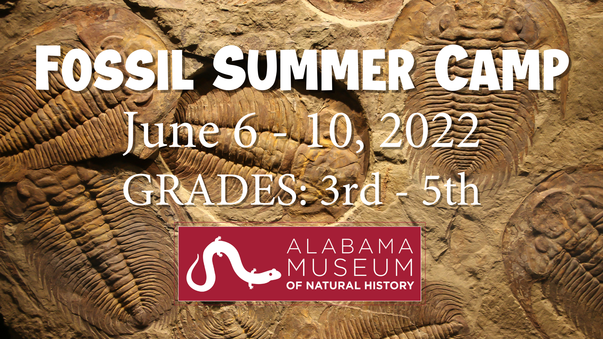 Fossil Summer Camp 