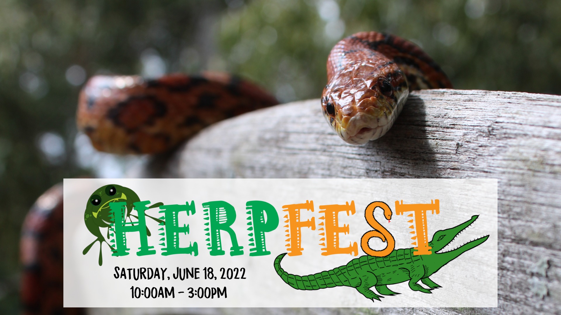 HerpFest: Celebration of Reptiles & Amphibians 