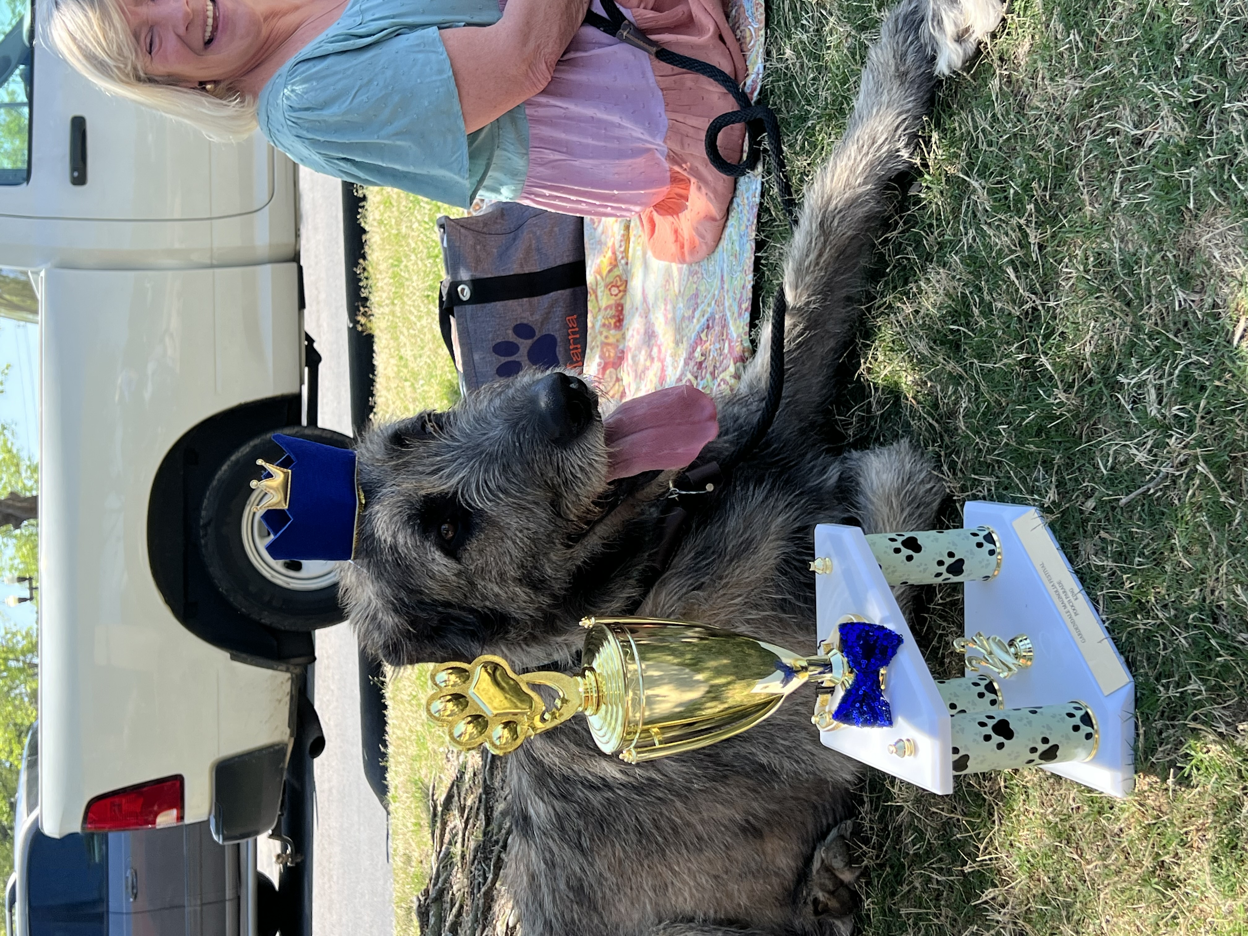 https://alabama-travel.s3.amazonaws.com/partners-uploads/photo/image/628b9f999603ed0009a57322/PoochParadeKing2022.JPG
