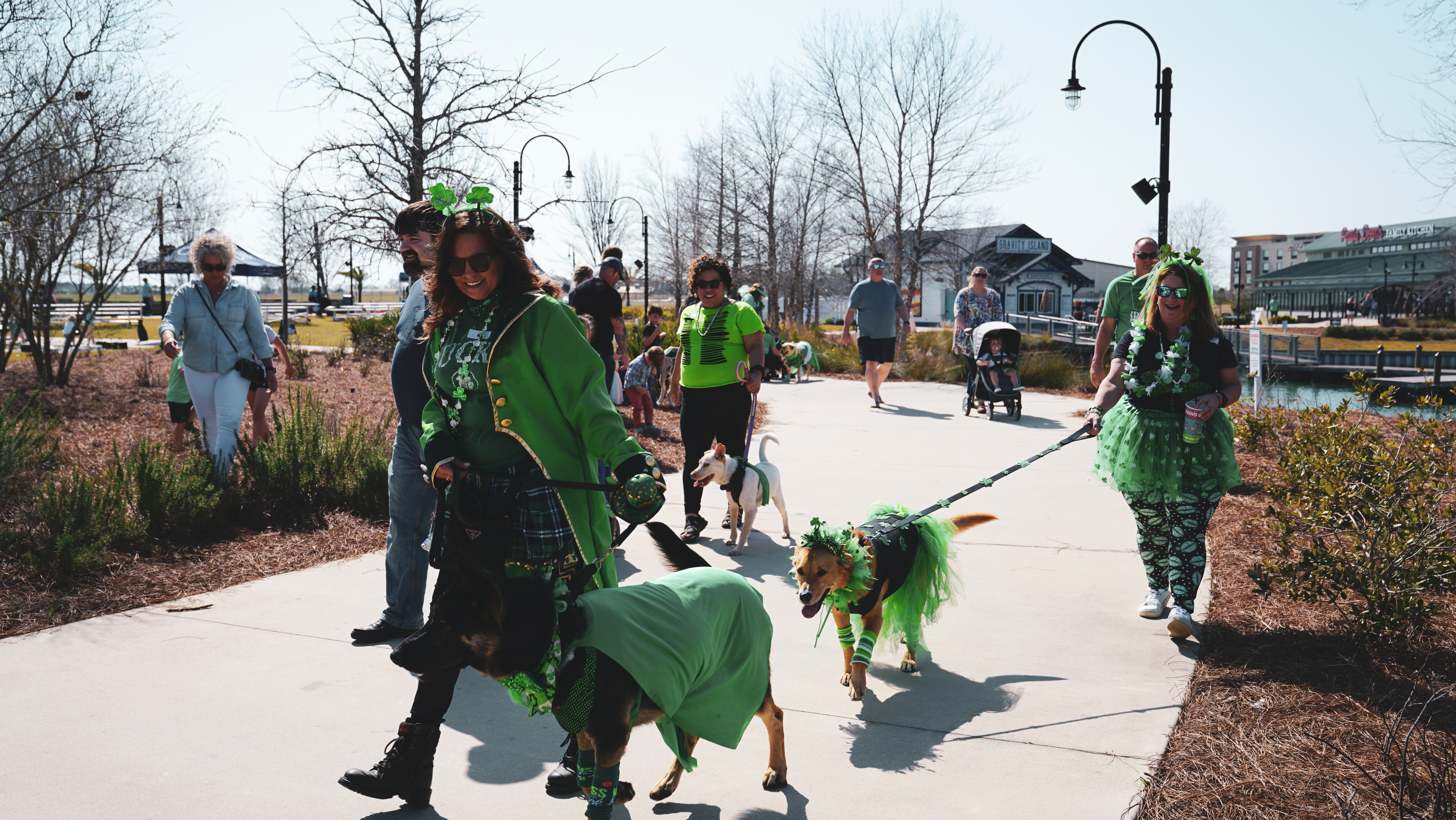 St. Pawtty's Day