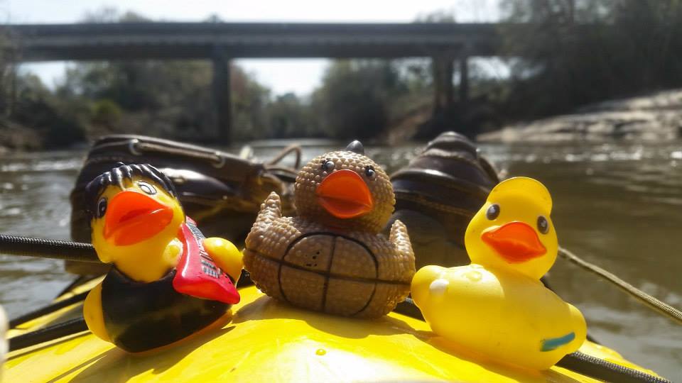 Rockin' the River