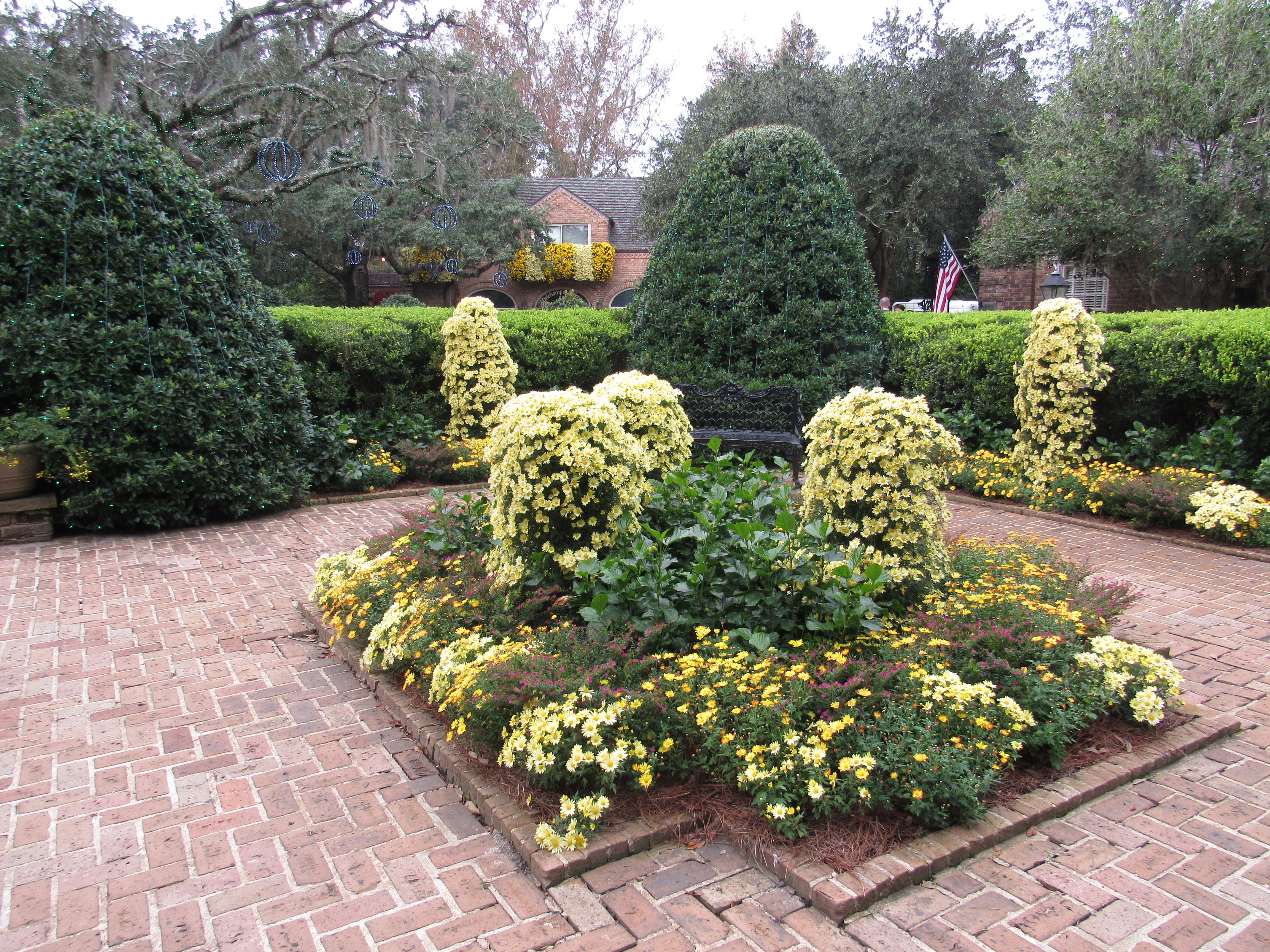 60th Annual Fall Outdoor Cascading Chrysanthemums