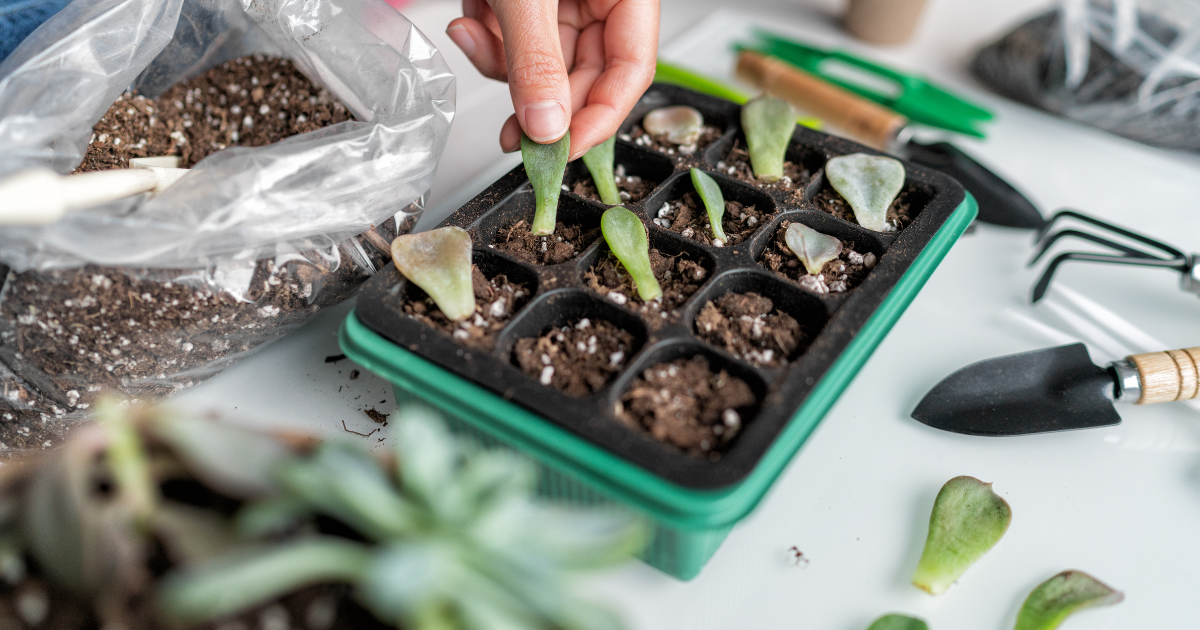 Propagation 101: Basic Tried-and-True Methods | In-person class