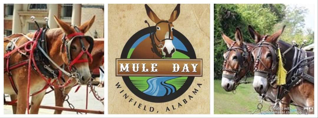 49th Annual Winfield Mule Day 