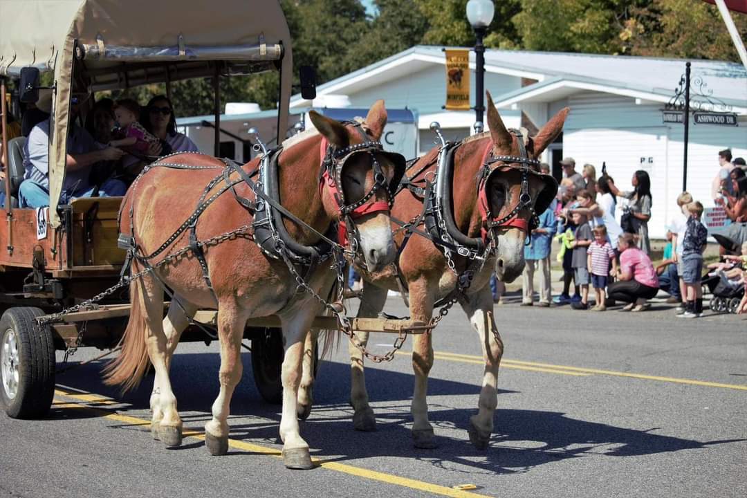 50th Annual Winfield Mule Day Winfield