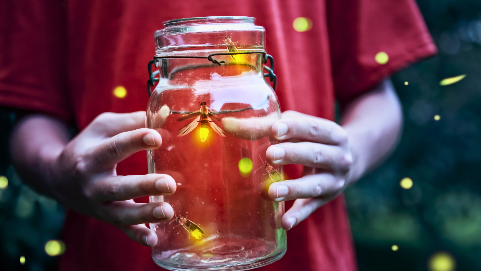 Firefly Garden Hike