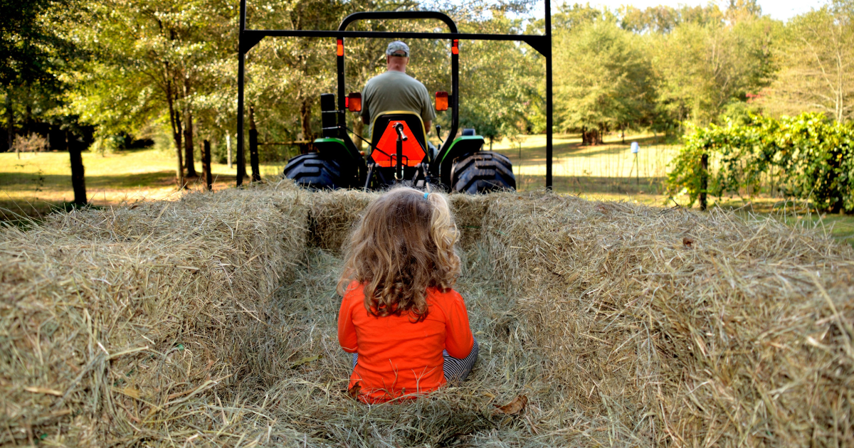 Hamburgers and Hayrides