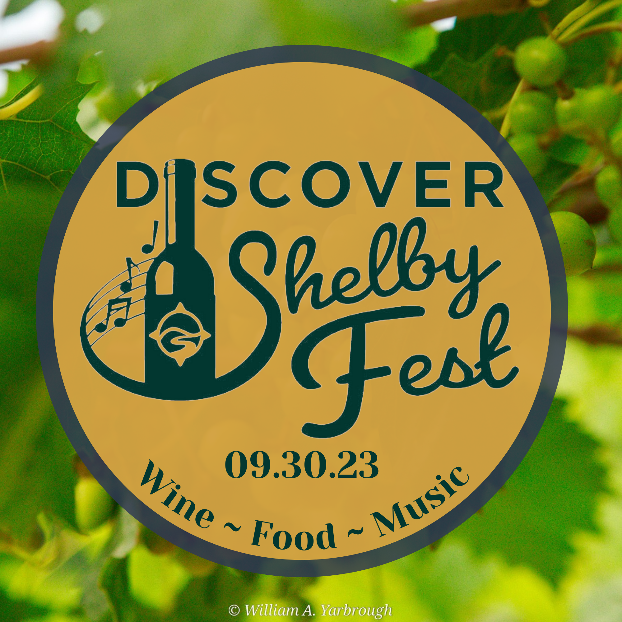 Discover Shelby Fest