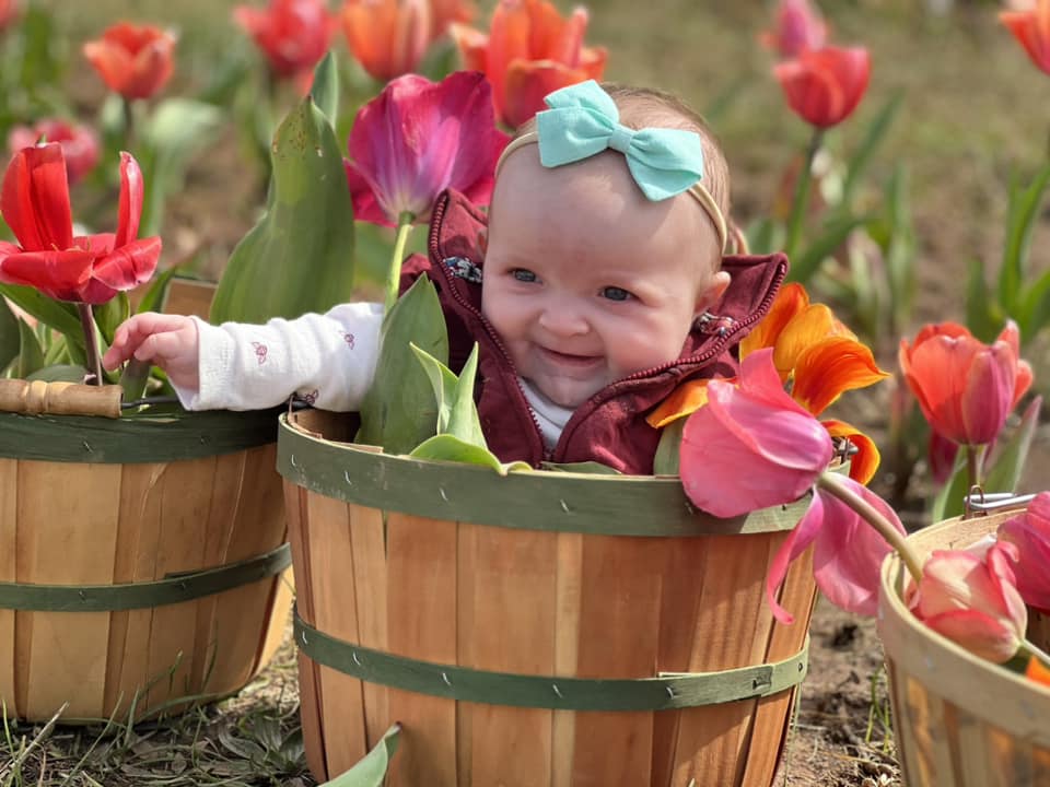 Alabama's Official Travel Guide