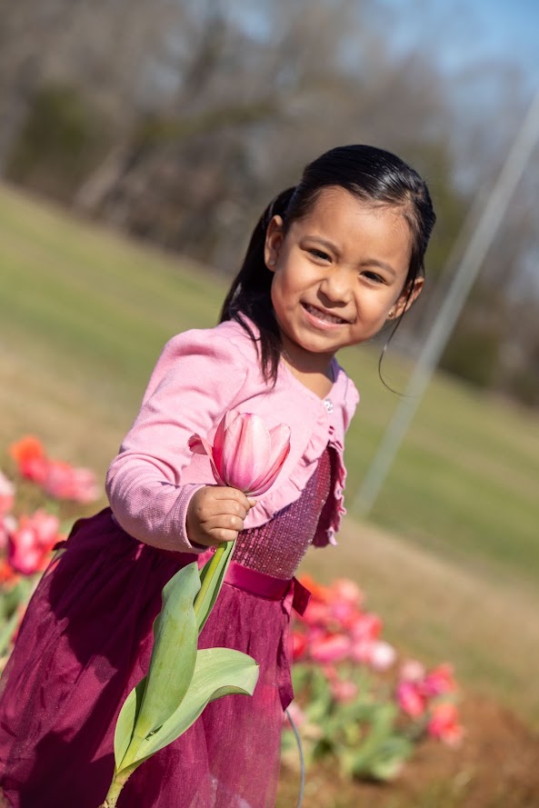 Alabama's Official Travel Guide