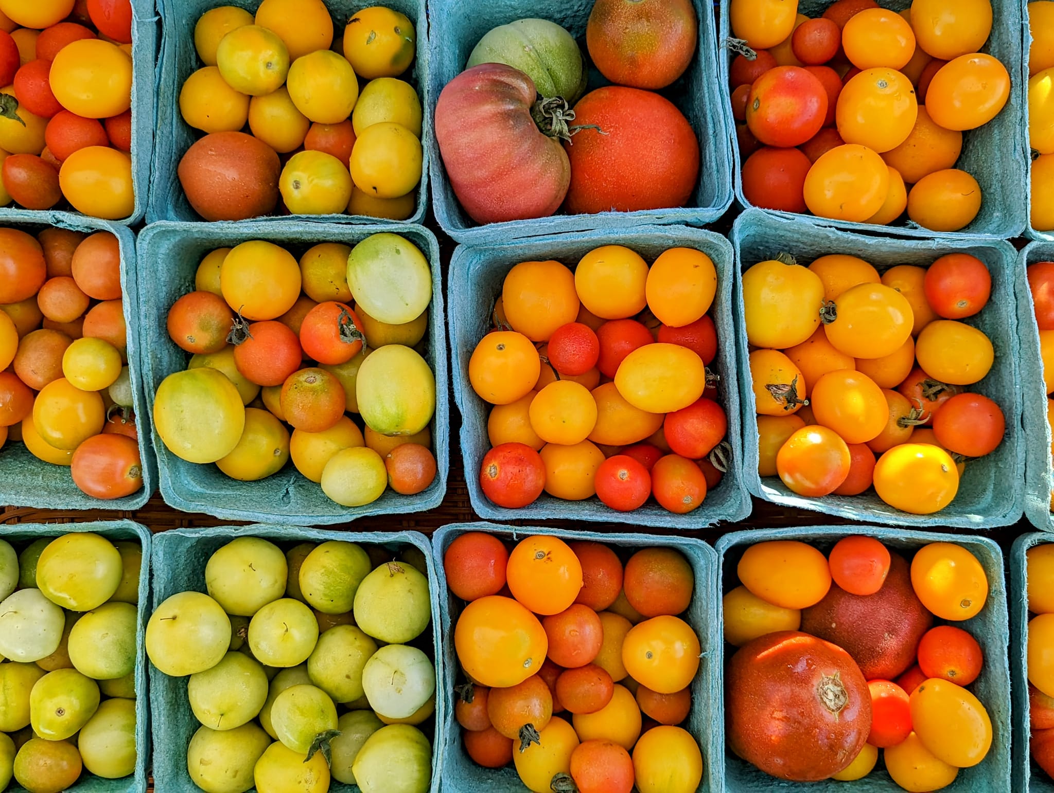 Poplar Head Farmers Market