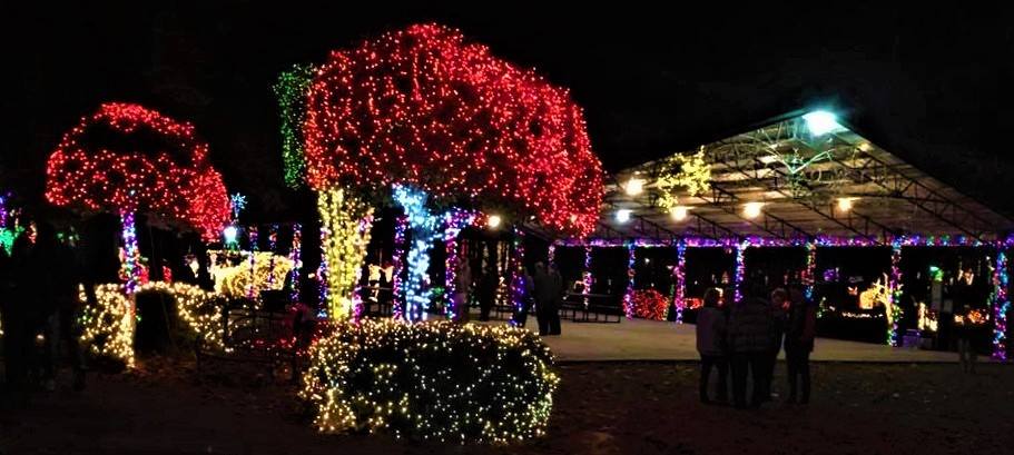 Christmas in the Park - Arab