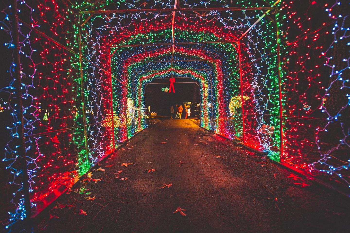 Christmas in the Park - Arab
