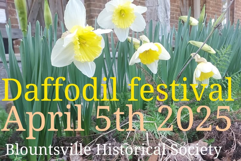 Blountsville Daffodil Festival