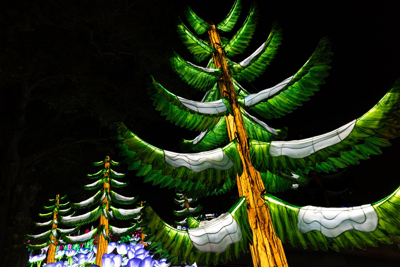 https://alabama-travel.s3.amazonaws.com/partners-uploads/photo/image/67cb5fdcf1cadb00084ca044/Pine-tree-medium.jpg