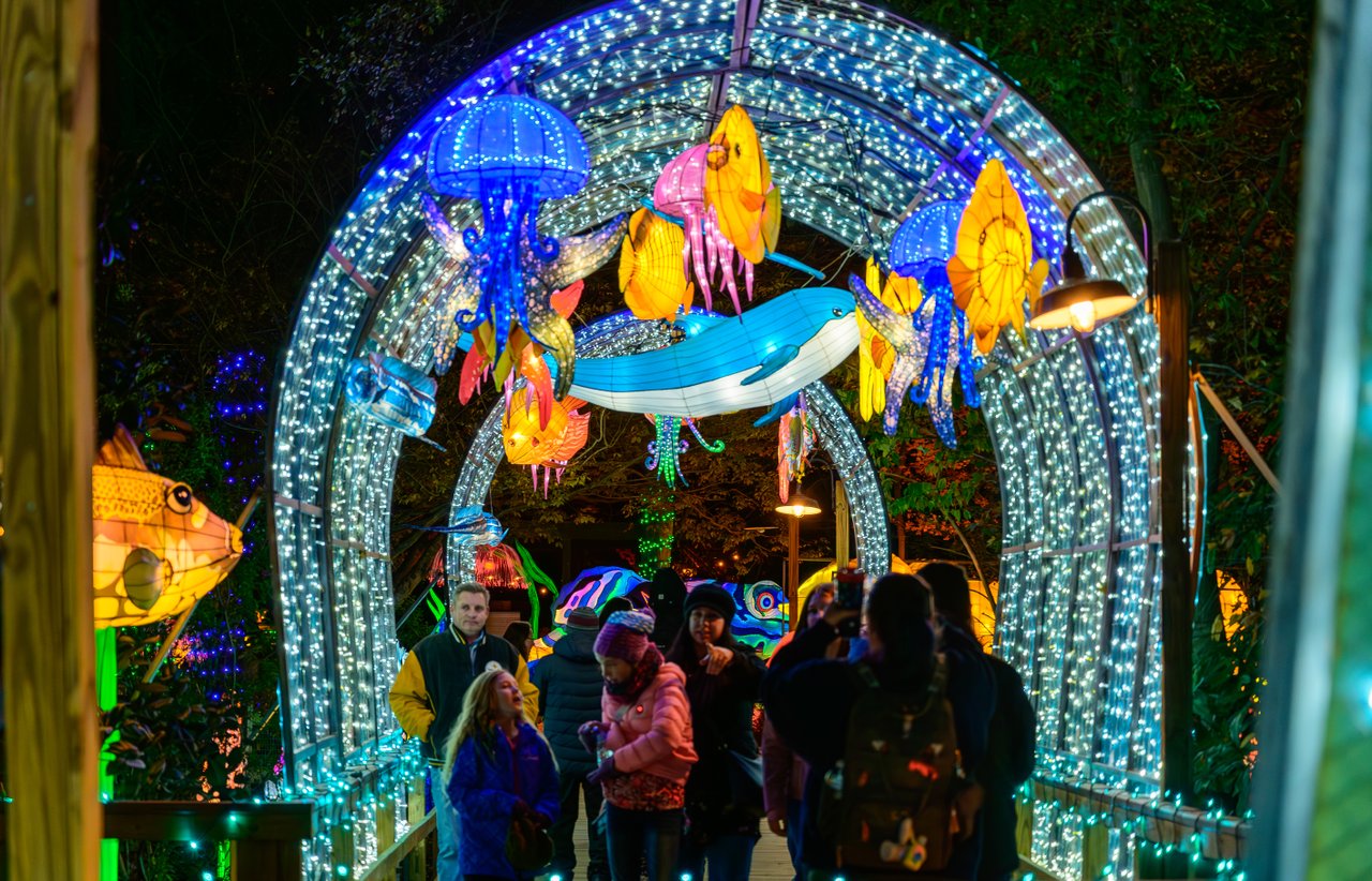 https://alabama-travel.s3.amazonaws.com/partners-uploads/photo/image/67cb5fdcf1cadb00084ca046/underwater-tunnel-medium.jpg