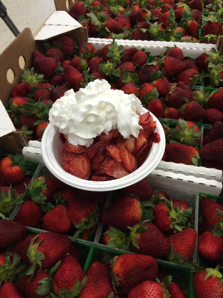 36th Annual Baldwin County Strawberry Festival