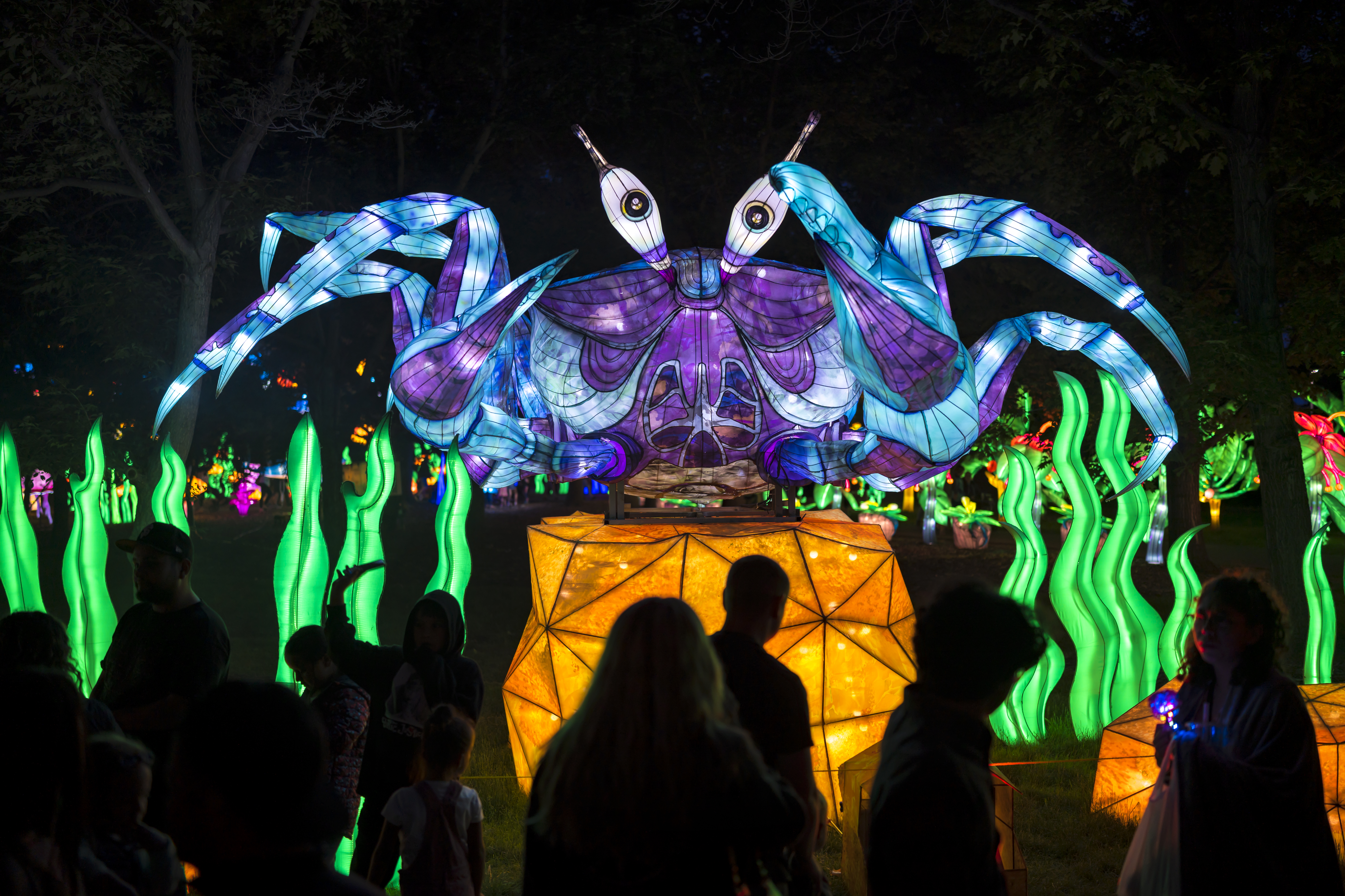 https://alabama-travel.s3.amazonaws.com/partners-uploads/photo/image/67e1a55e488c6c000833ed06/Crab(2).jpg