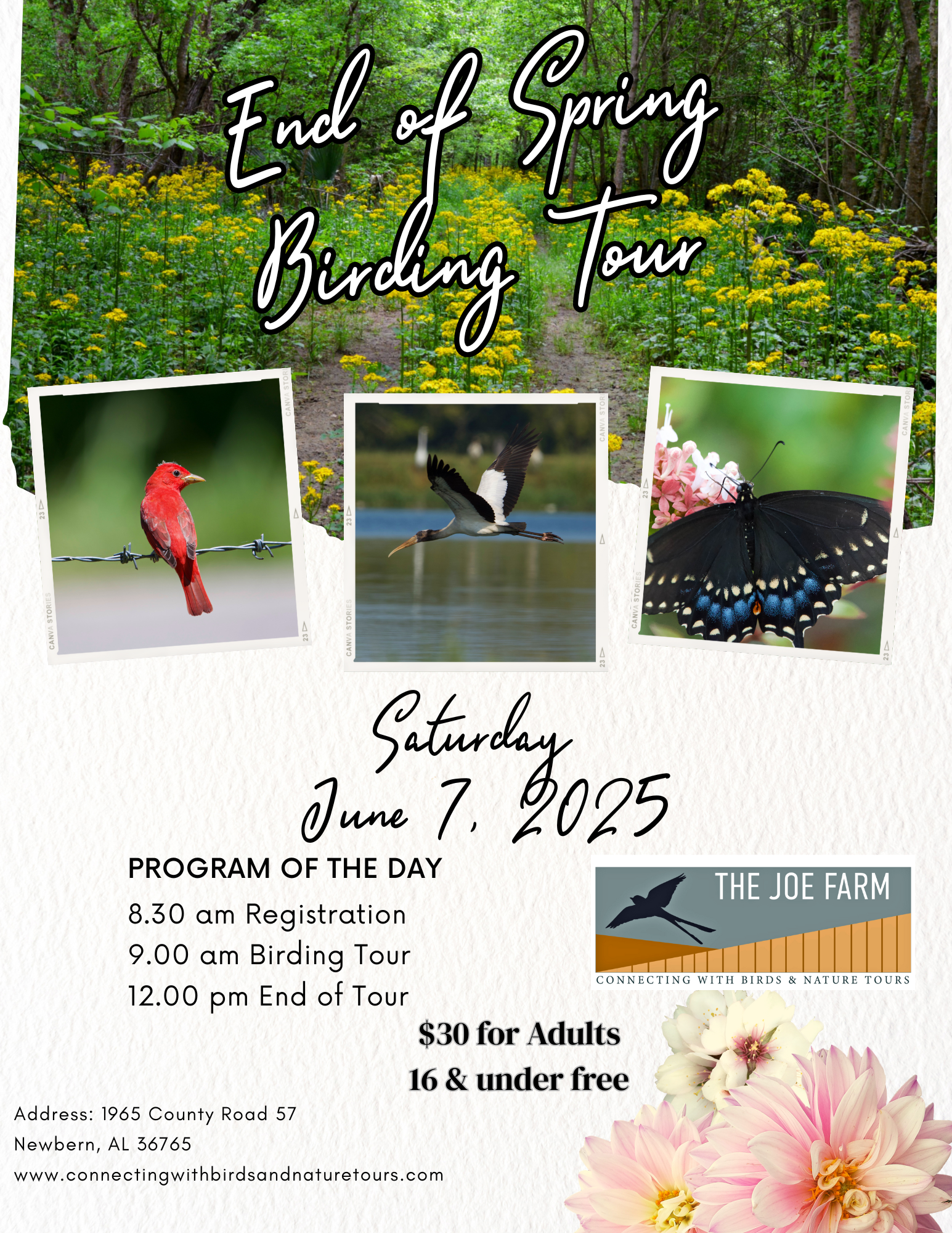 End of Spring Birding Tour