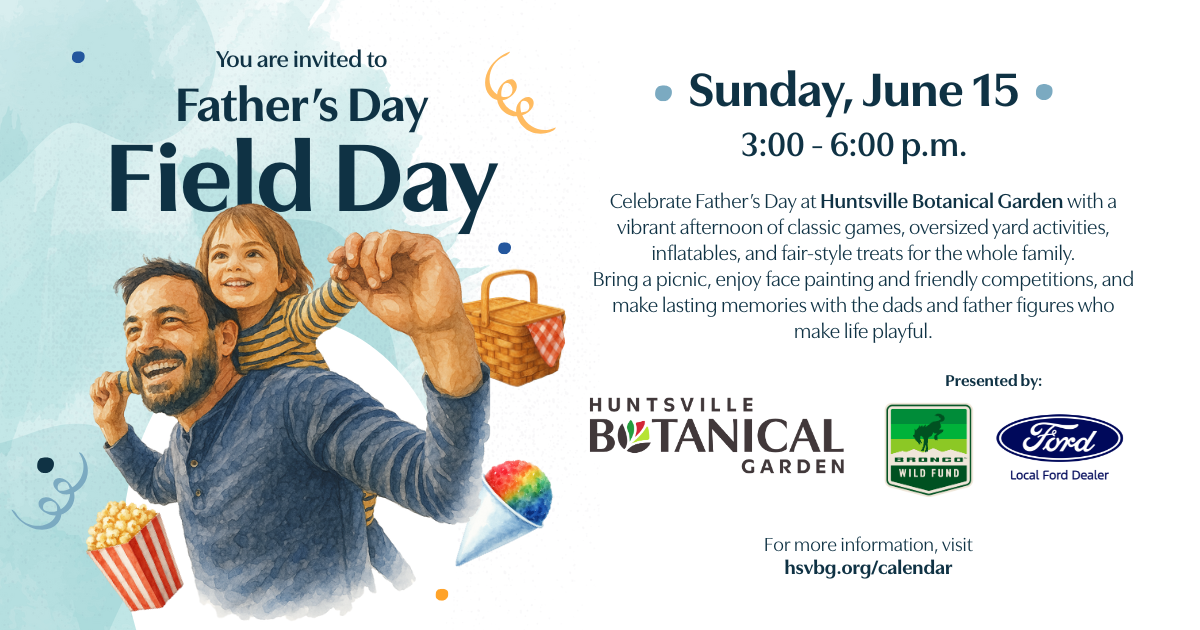 Father’s Day Field Day