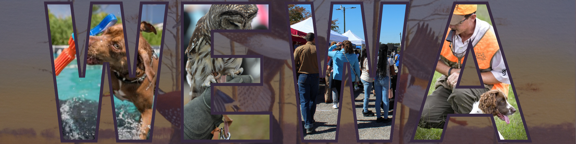 https://alabama-travel.s3.amazonaws.com/partners-uploads/photo/image/68433ad3488821000837528c/WEWAHeader.png