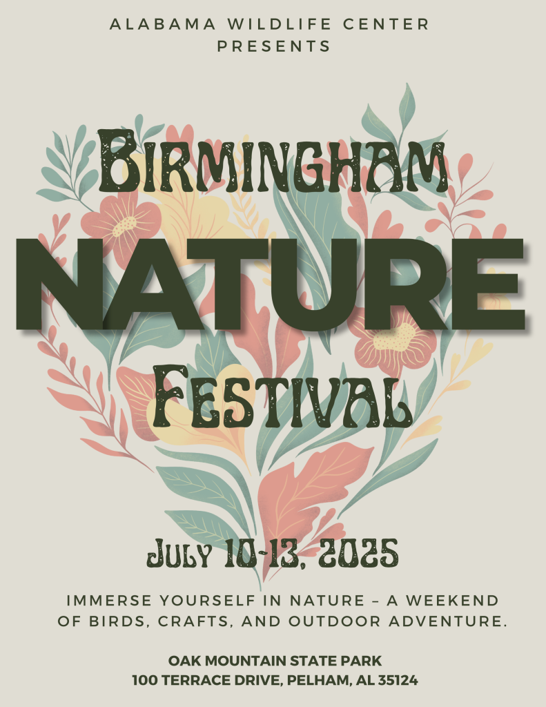 Birmingham Nature Festival