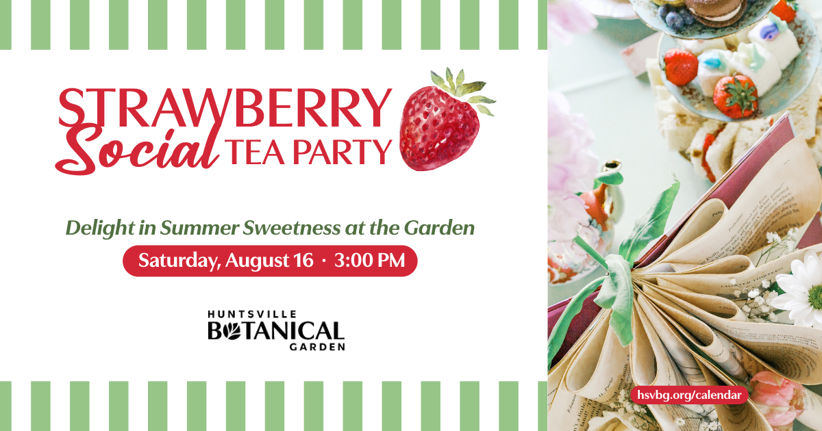 Strawberry Social Tea Party