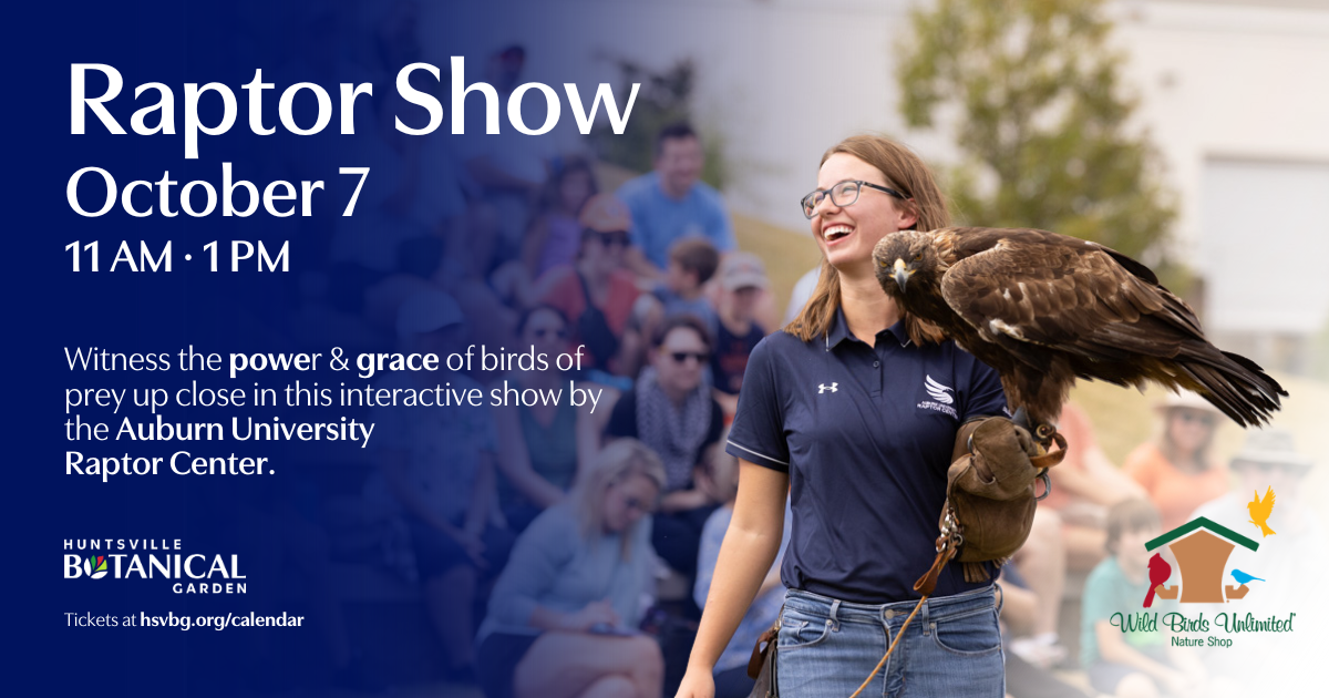 Raptor Show