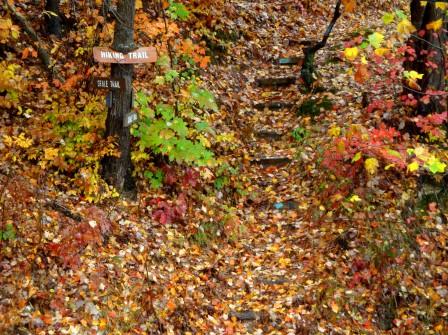 Lake Guntersville State Park Seals Trail 