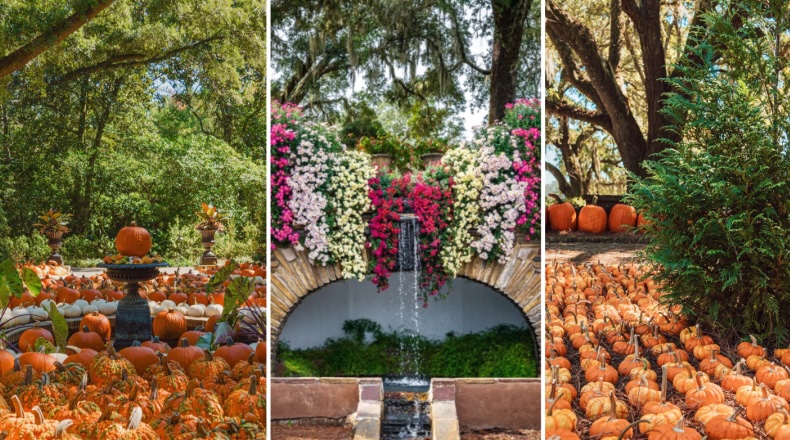 The Great Bellingrath Harvest
