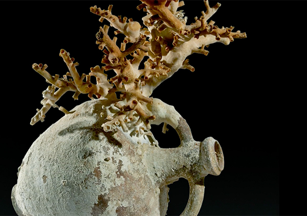 Sunken Treasures, Ancient Seas: Artifacts from the Deep